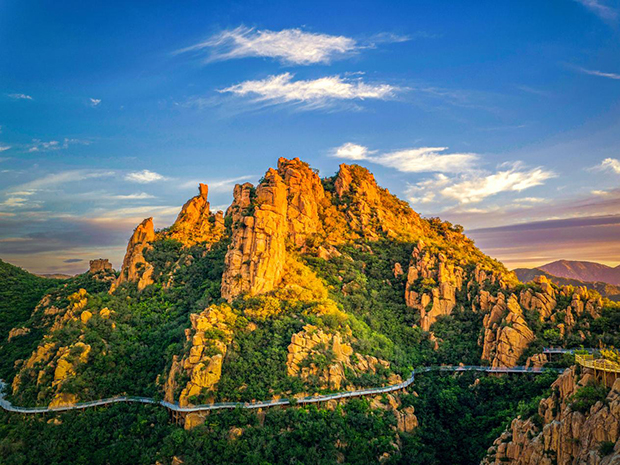 image003.jpg image003.jpg