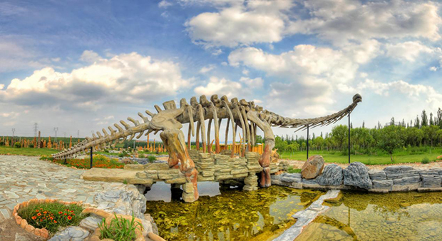 image019.jpg image019.jpg