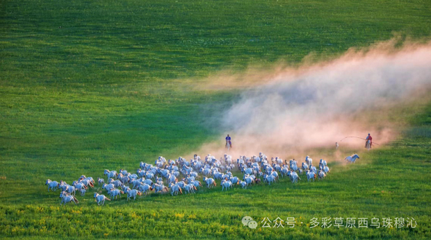 148162137808_0s.jpg 148162137808_0s.jpg