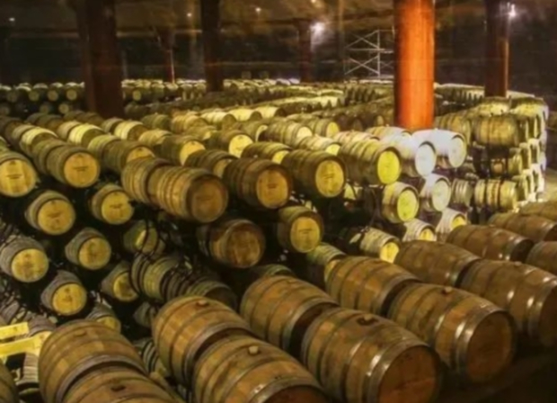 ΢Žͼ_20241028090922 (2).jpg